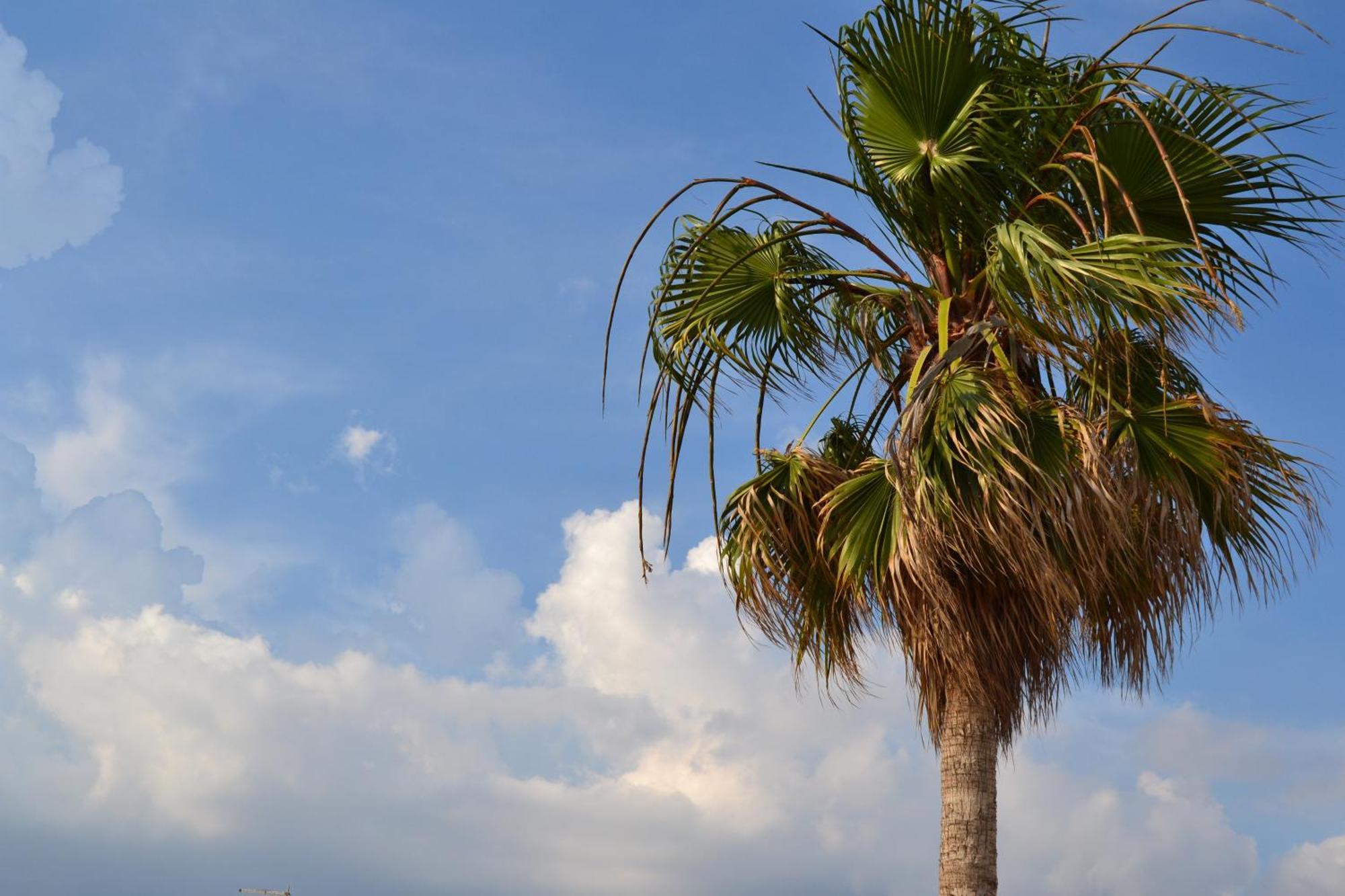 Affittacamere Torre Lapillo Dış mekan fotoğraf